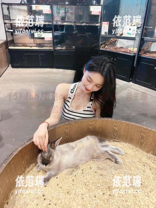 51.fun 直达cgw51.fun网站,男生最爱的爆料吃瓜新天地